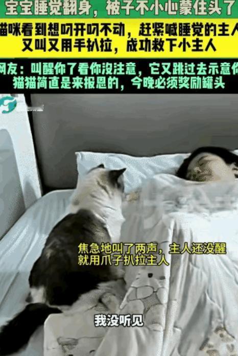 生灵皆有本心，温柔亦藏担当！山东临沂一户普通家庭的卧室里，上演了一场惊心动魄的生
