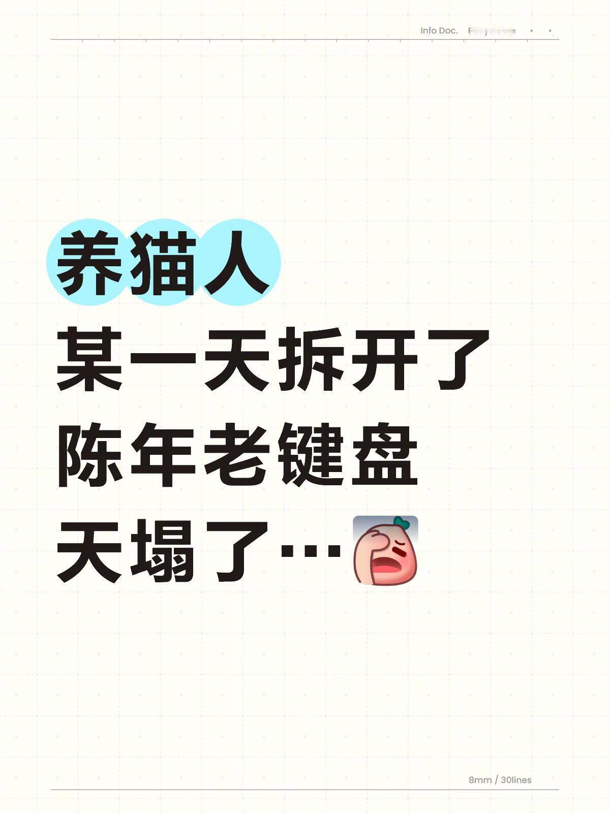 有些人的键盘一看就是养猫的