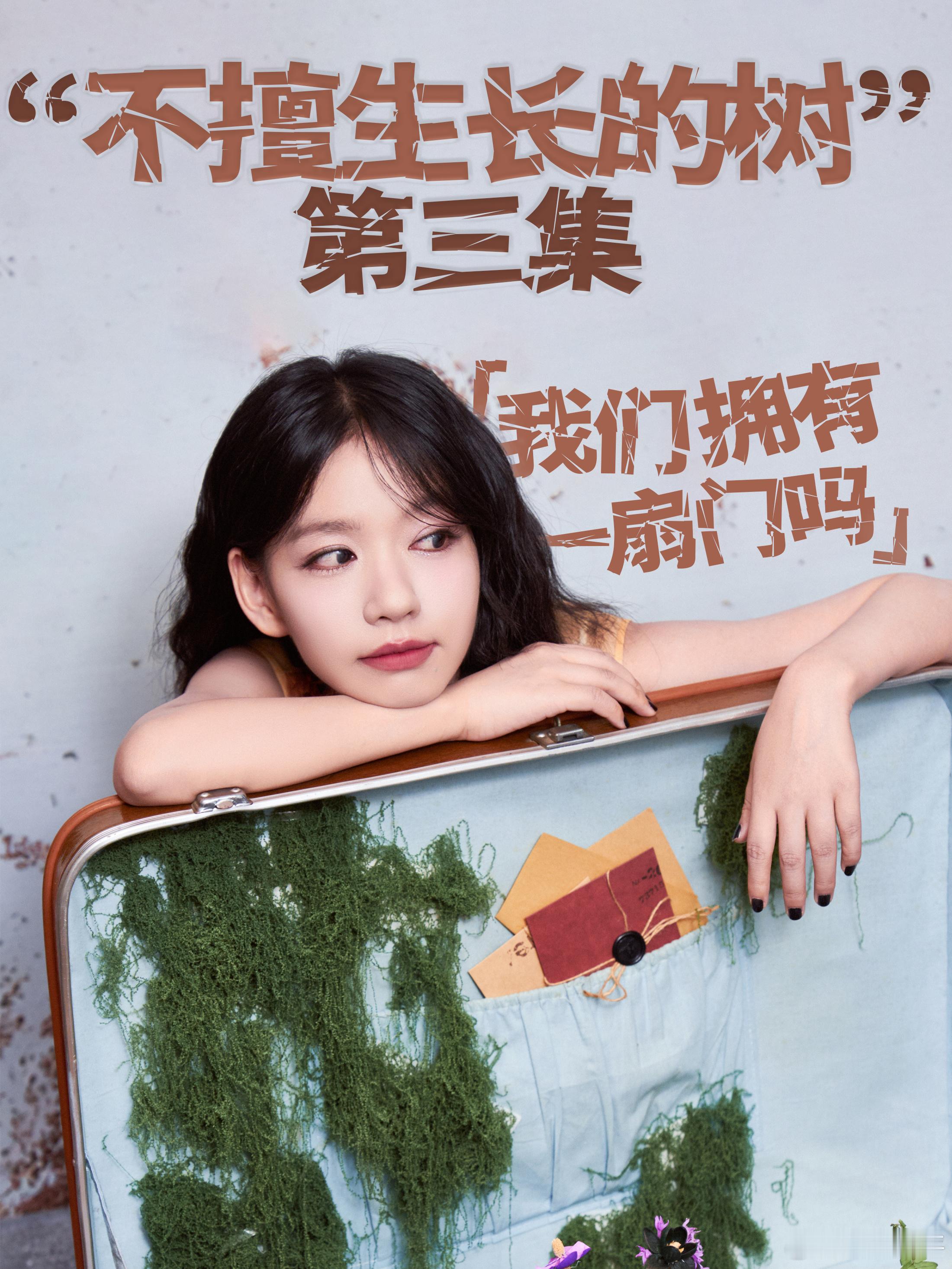 房东的猫新专辑不擅生长的树房东的猫新歌我们拥有一扇门吗“不擅生长的树”第三集「