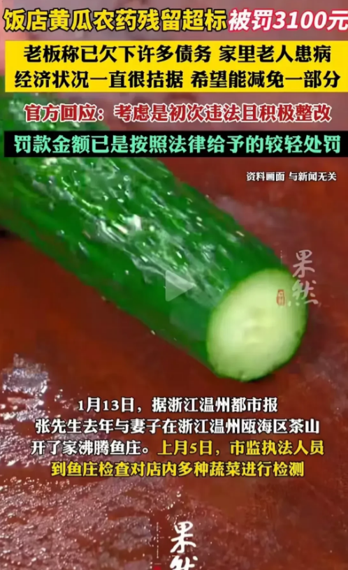 为什么不查源头？浙江温州，饭店因被检查出黄瓜农药残留超标，被有关部门罚款3100