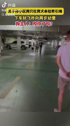 太张狂了。江苏，两条没系绳的杜宾犬突然朝着一名2岁幼儿扑了过去，家长在情急之下踢