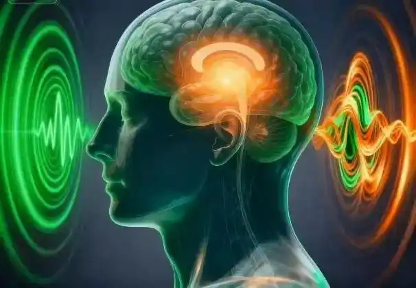 【大脑“意识开关”被发现？】中国科学院自动化研究所等单位组成的联合研究团队，通过