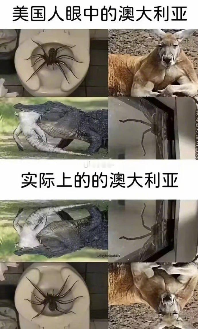 没看懂，啥意思