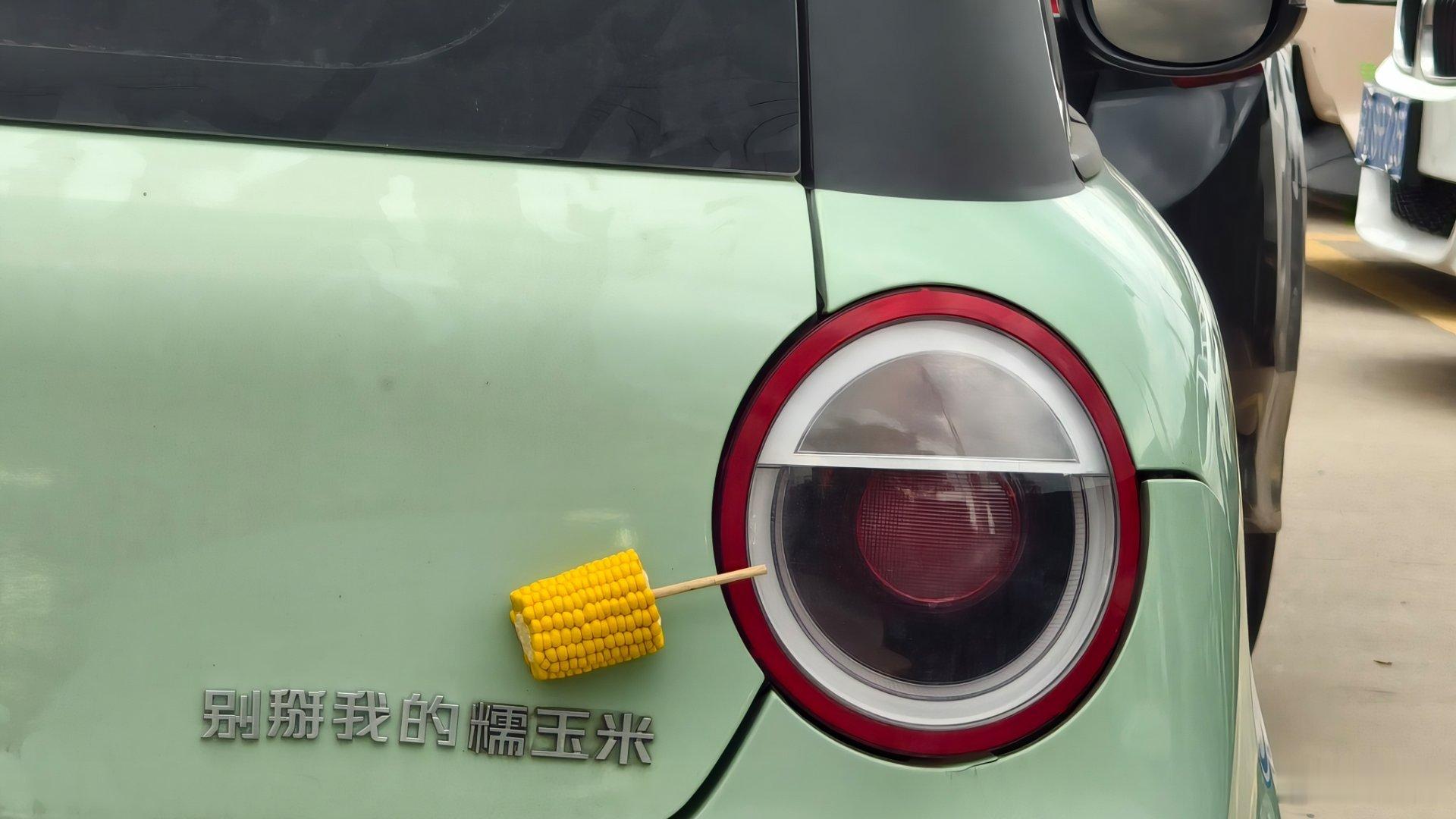 满身都是食物的糯玉米…​​​