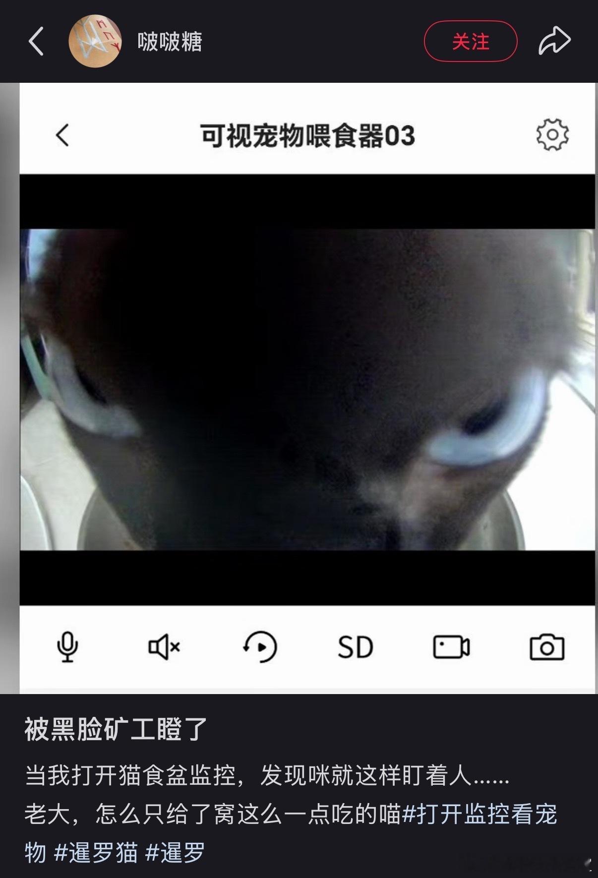 遭了​​​