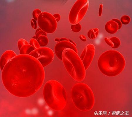 血肌酐高了怎样才能降下去? 吃药还不够, 关键是做到这一点