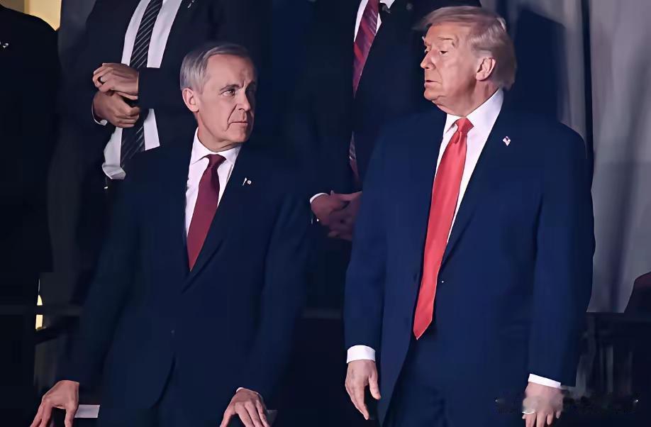 卡尼效应极有可能成为了世界秩序的分水岭。几天前，在东阿尔卑斯山的瑞士