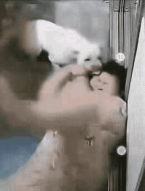 这回老惨了!女子没事找事，要和狗子套近乎。女子看到自家