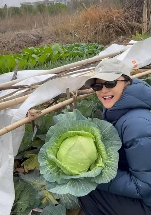 周迅这波照片太接地气了！令人隔屏感觉到周迅的淳朴清新，自然大方，舒适度极高，很治