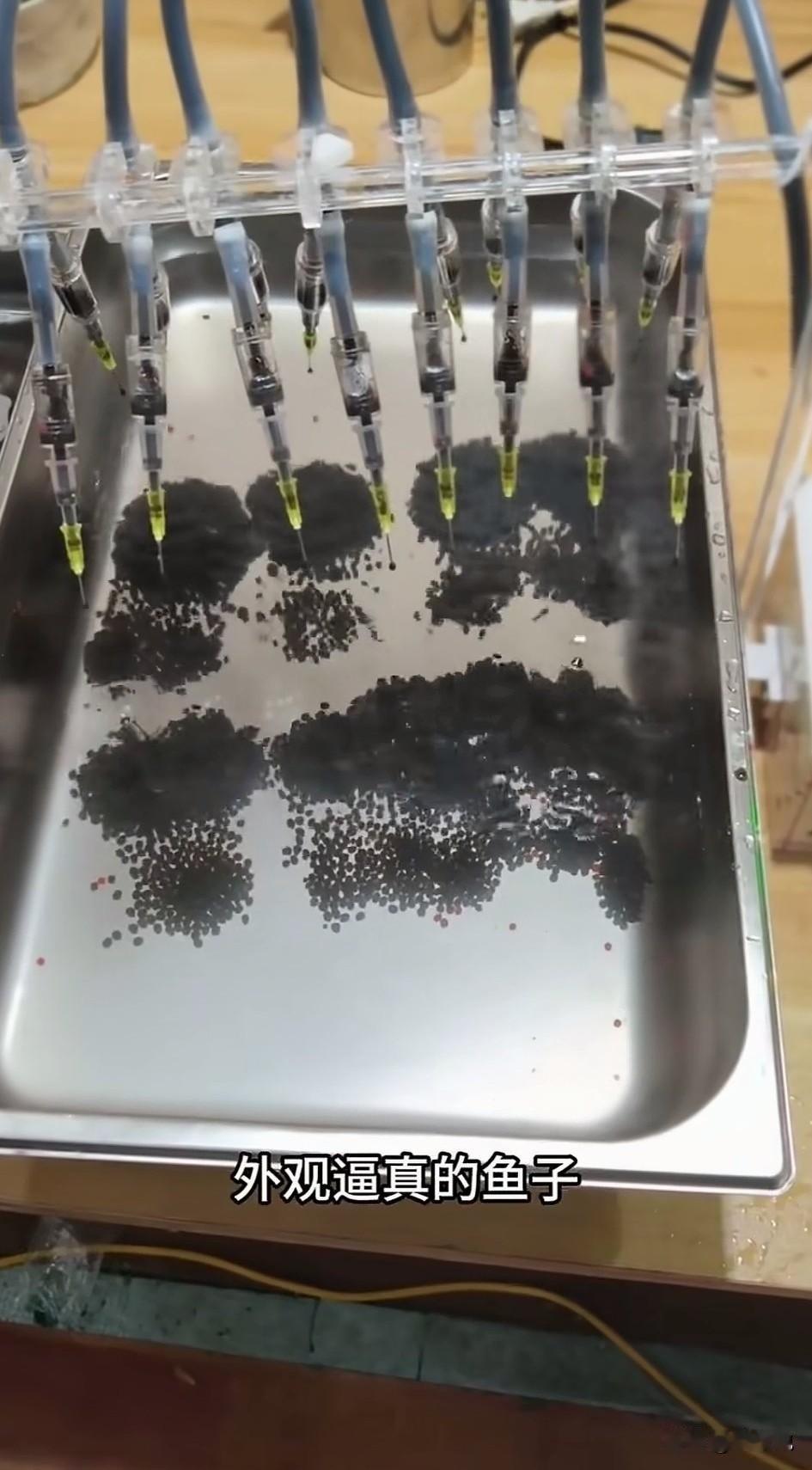 刷到一个科普视频，人工鱼子酱。这就是为什么普通人也能随便吃鱼子酱了。果然，网