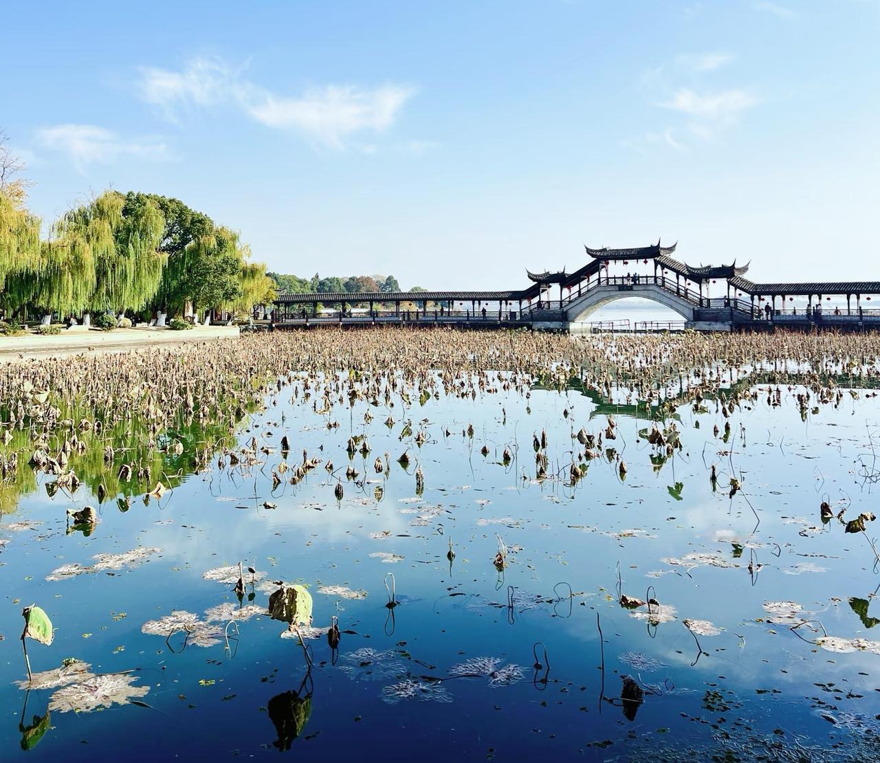 锦溪古镇，绝对是苏州的宝藏之地。走进锦溪，就像踏入了一幅江南水墨画。镇内湖荡密