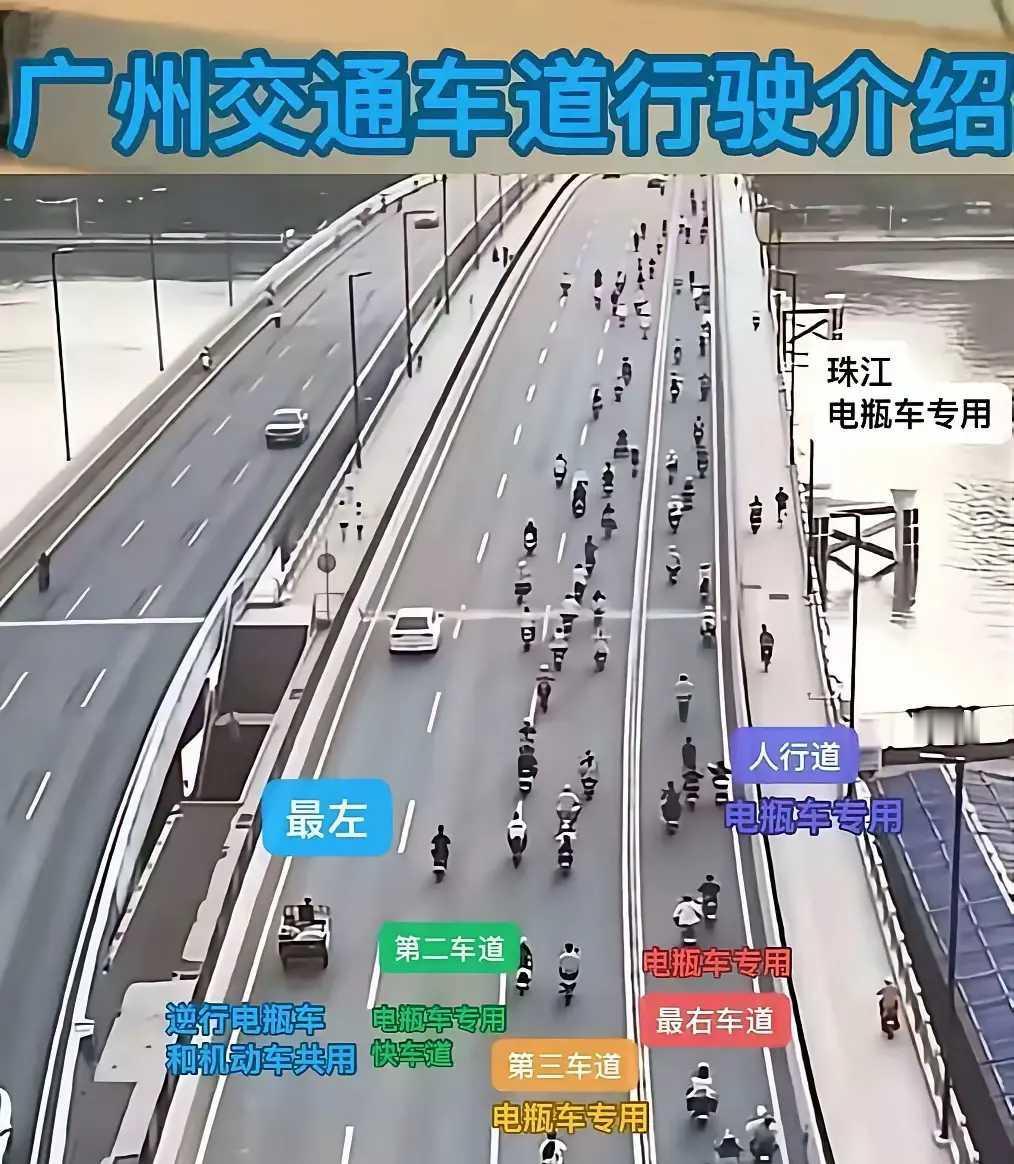 看了这图终于明白为什么要管控电瓶车了