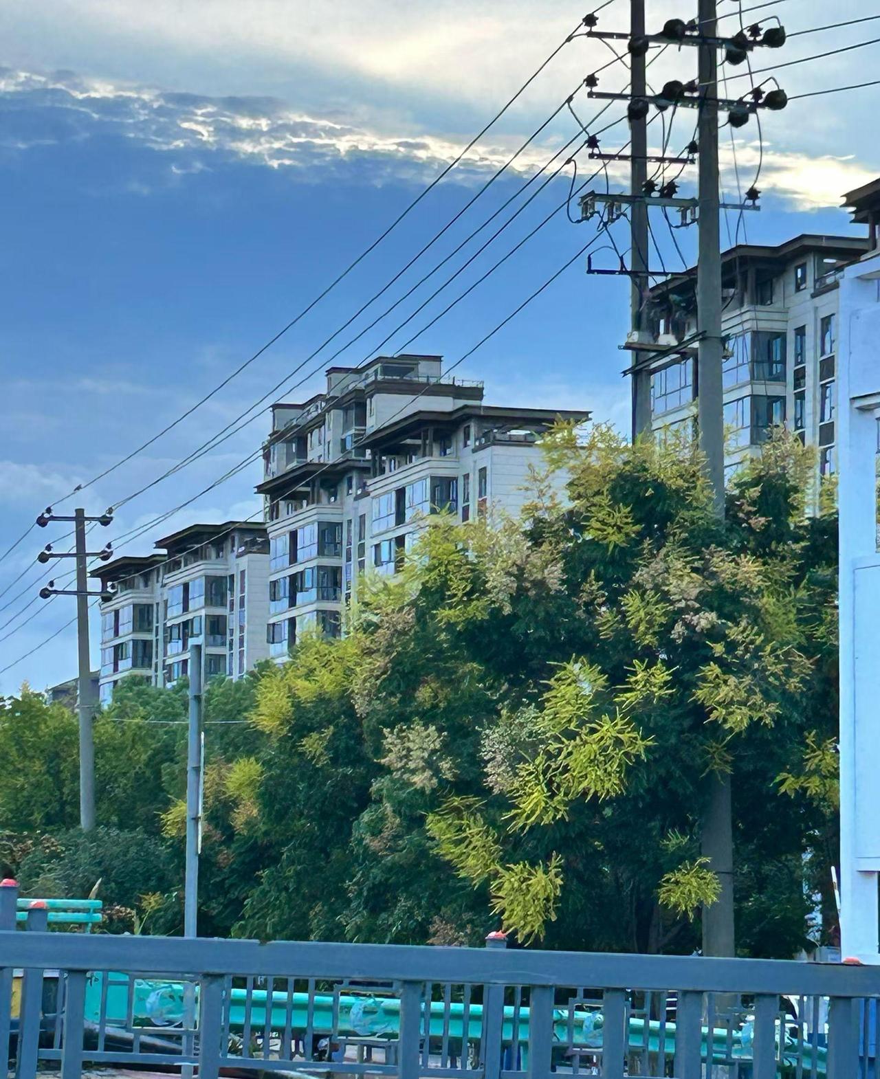 如果善良得不到尊重，那就让它长刺！对门的阿婆又在敲门，边敲边喊我：娃，在