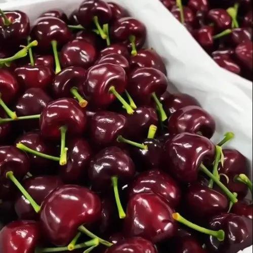 山姆车厘子30天狂降100元！早买的哭晕。山姆车厘子30天狂降100元！早买的哭