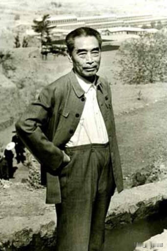 福州军区副司令员龙飞虎托人给老领导周恩来送来了一筐橘子，想请总理尝个鲜。周恩来