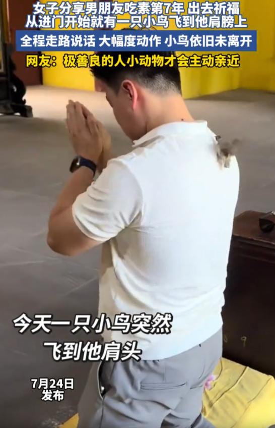太神奇了！四川成都，男子吃素七年，和女友一起去还愿时，突然一只小鸟飞到它的身上不