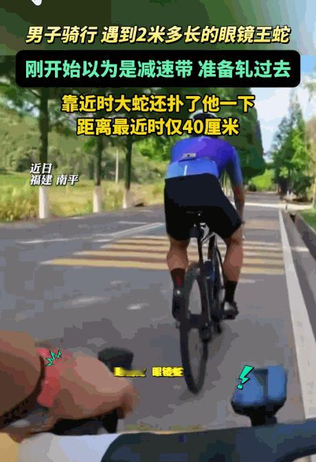 这哪是减速带，这简直是“索命带”！据媒体5月17日报道，福建南平，一男子骑行时竟