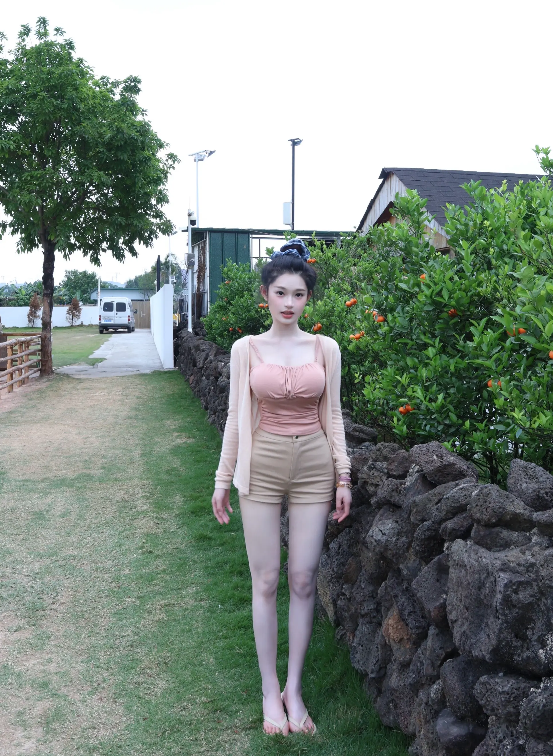 你和我的夏天