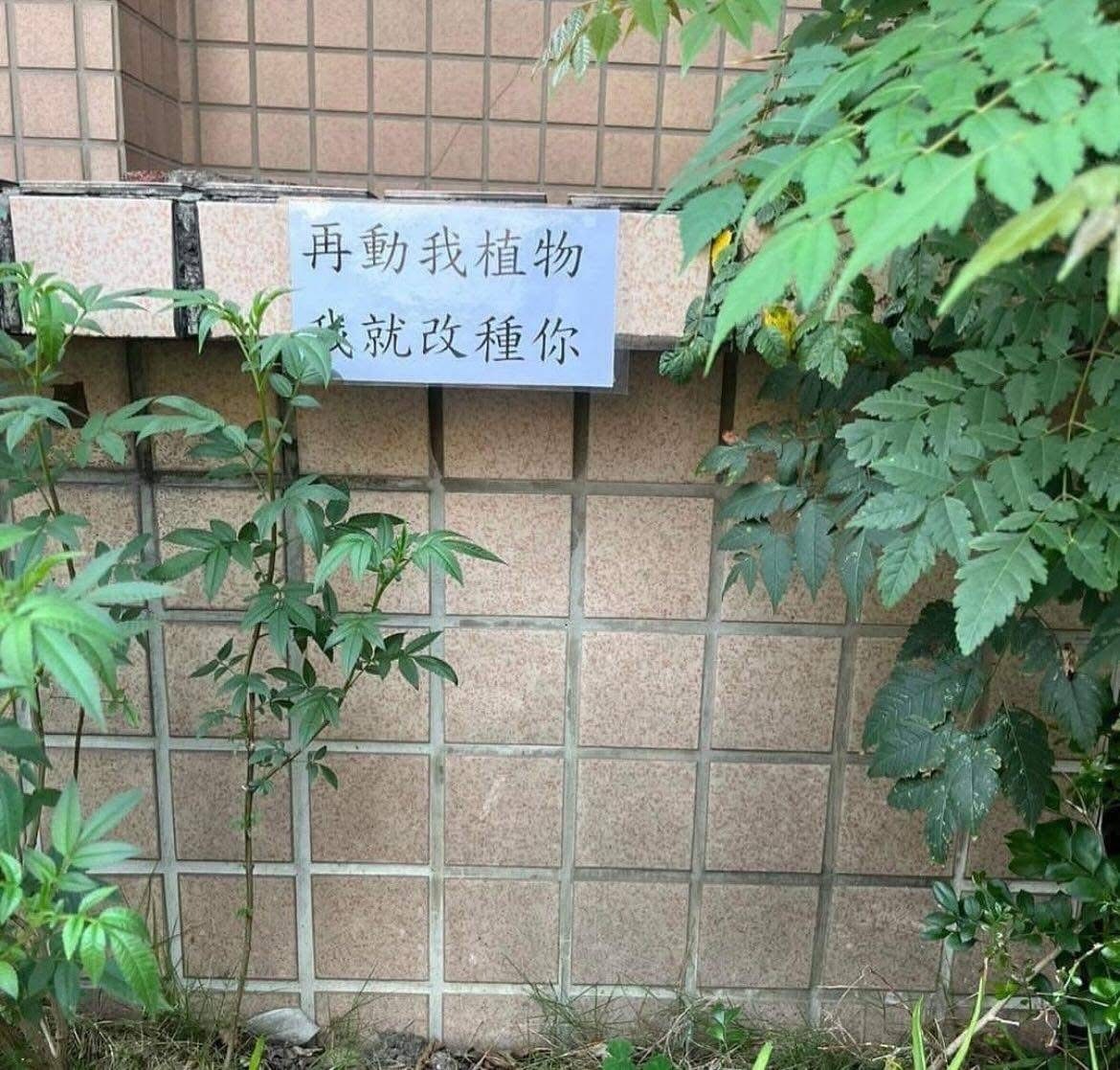 -​​​