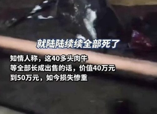 被人眼红了！”湖南一养殖场价值50万的牛，吃了自家种的草后集体暴毙，相关部门：已