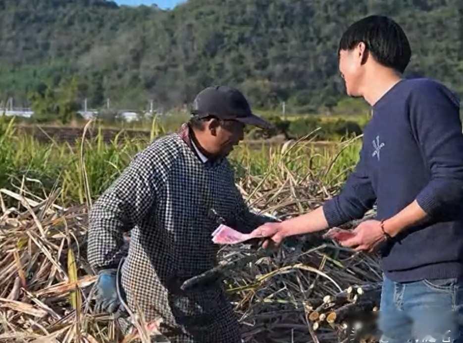 8人砍220亩甘蔗挣18万？算完账，才发现普通人的钱都是血汗换的！八个人