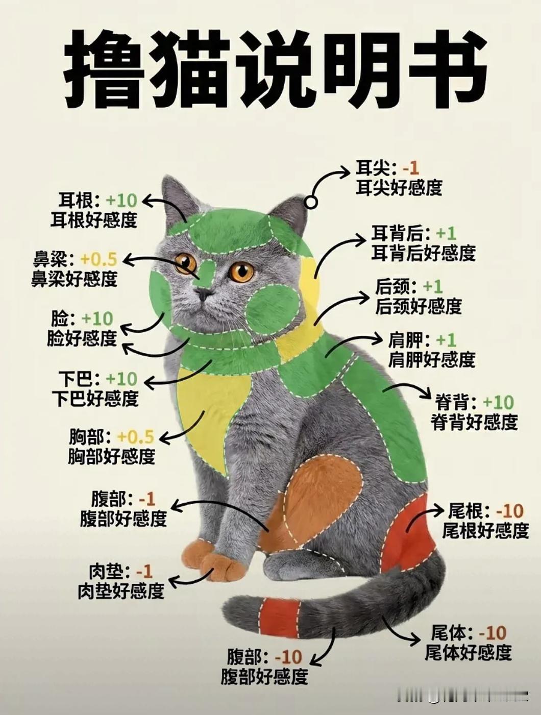 但是就喜欢猫咪的肉垫，毛融融的尾巴怎么办？记得以前小时候养猫的那几年，经常摸它的