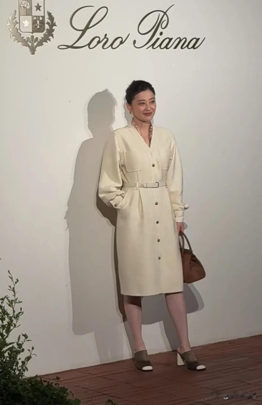 梅婷现身苏州出席晚宴，为某服装品牌站台，优雅的诠释了什么是优雅、端庄又大气，品牌