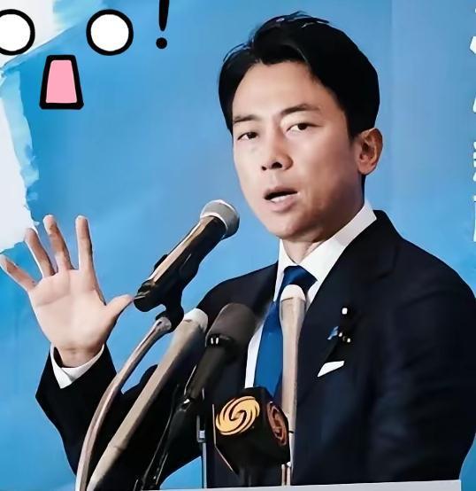 就在刚刚日本小泉进次郎再次宣布这次日本显然是想要插手台海事务！小泉进次