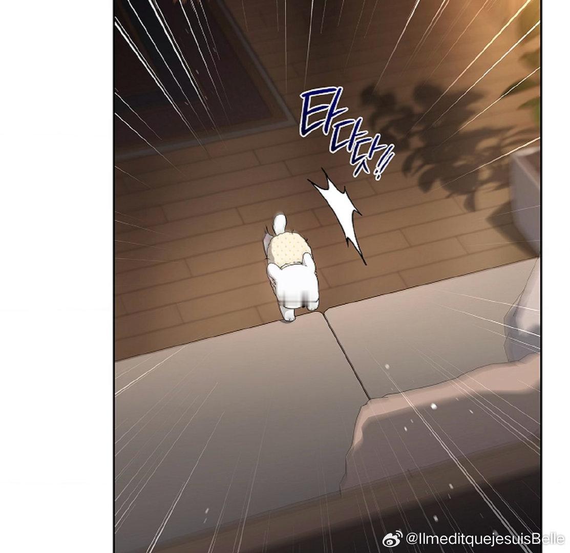狼狼终于回来了吗听到爱人的狼嚎棉花糖狗狗躺不平马上就精神了