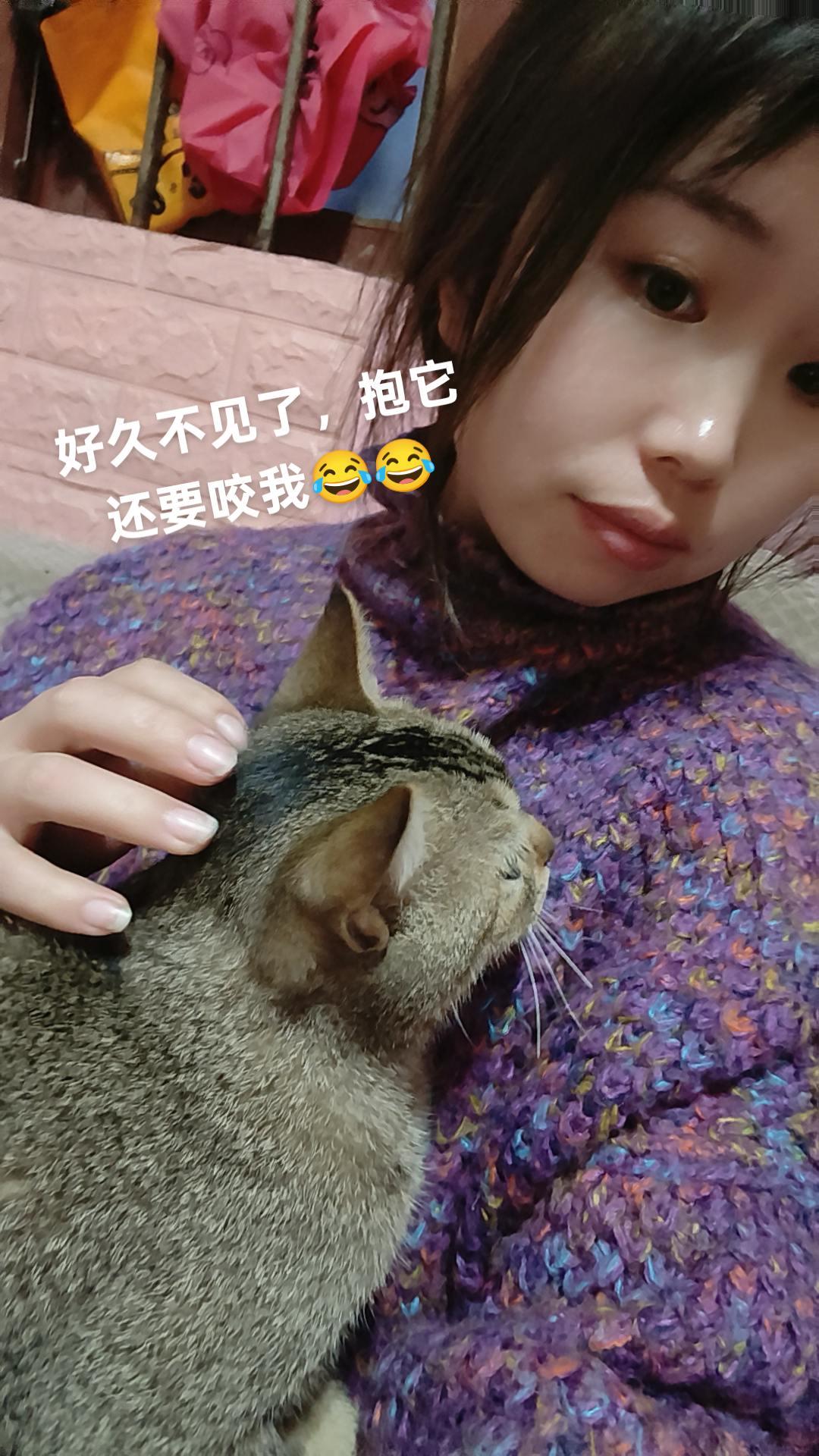 农村萌宠人与动物和谐相处狗是人类最忠诚的朋友请善待它