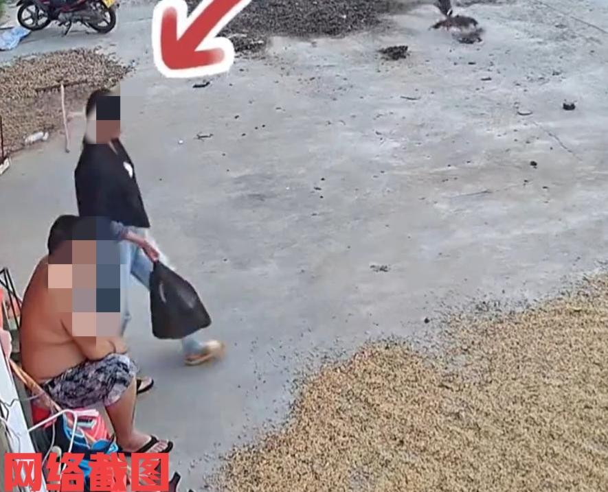 浙江有一对夫妻吵架好几天没有对话。这日妻子准备拎包出门，当走到院落晾晒的黄豆