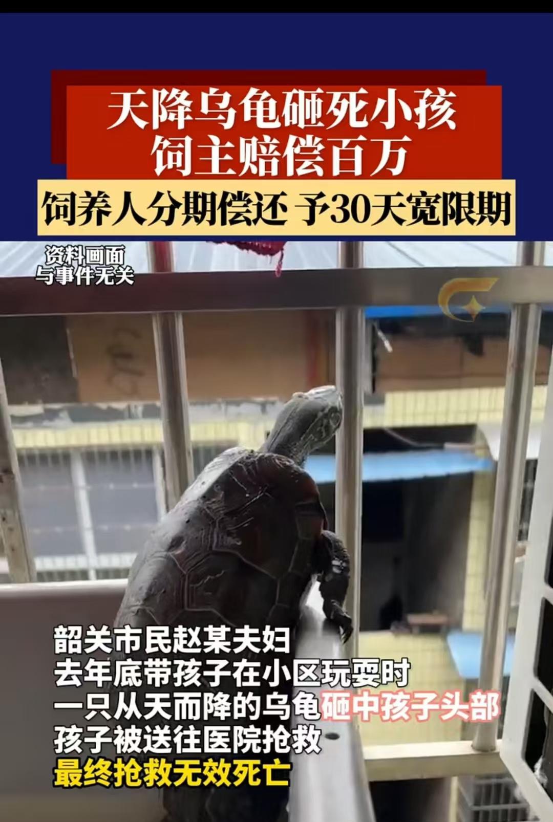 韶关，女子带着孩子在楼下玩耍时，突然一只乌龟从天而降，砸中了孩子。孩子最终抢救无