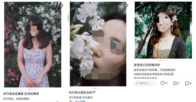 又中毒了! 社交平台还有人“以身试毒”, 千万别学