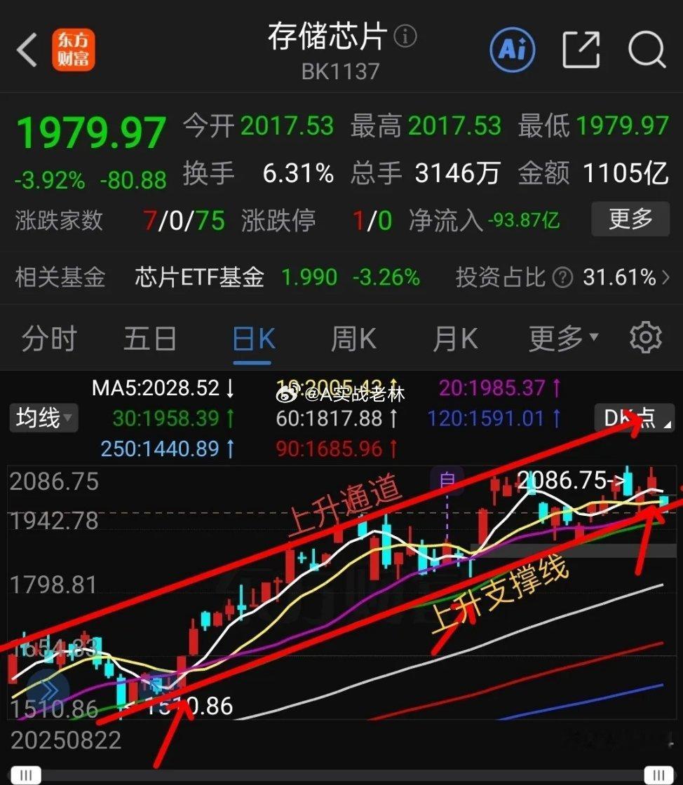 11.16周末聊基金：存储芯片大跌，走人还是坚定持有？本周五半导体芯