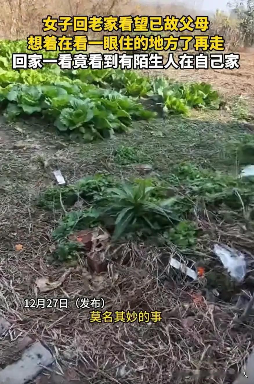 太离谱了！女子回老家给父母上坟，路过自家老宅时，听见里面有动静，推门一看，屋里居