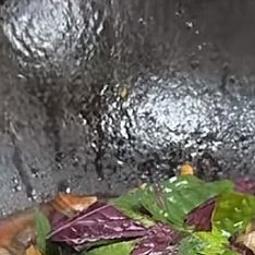 每日一餐分享8+1硬菜