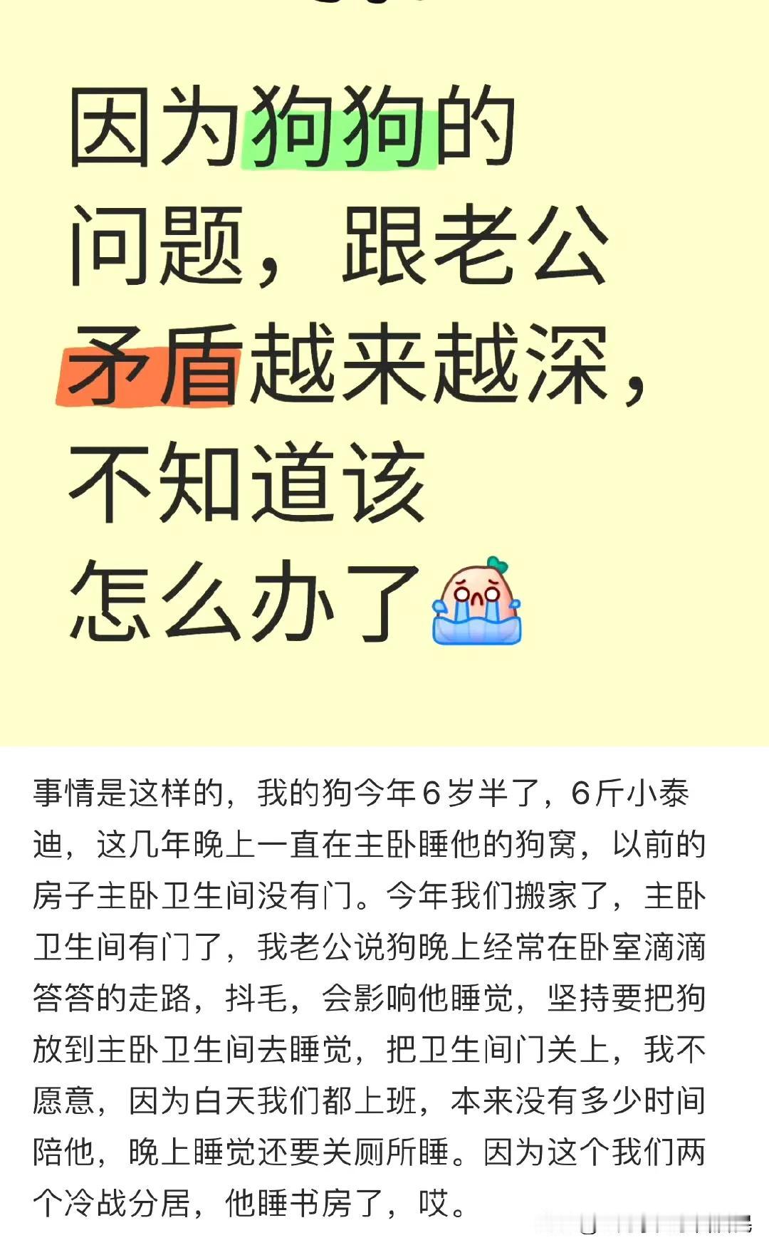 一个女生养了一只6岁半的小泰迪。之前这只狗狗一直在主卧狗窝睡，搬家后主卧卫生