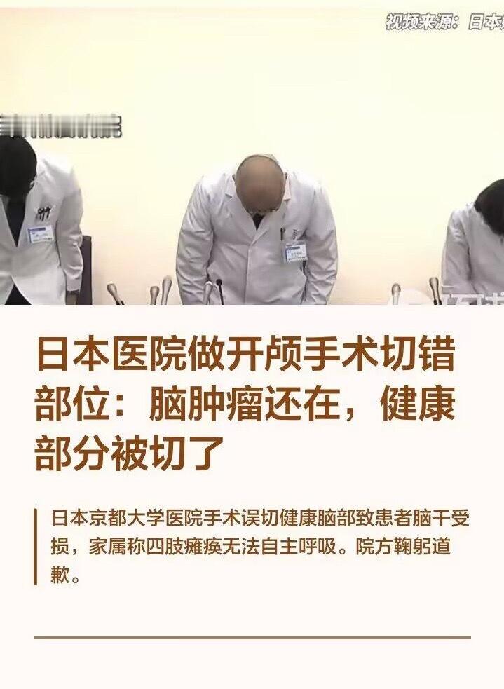 天呐😨