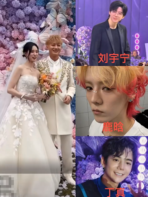 鹿晗未现身，我毫不意外；刘宇宁到场，我也无感。但丁真与黄子韬的婚礼让众人