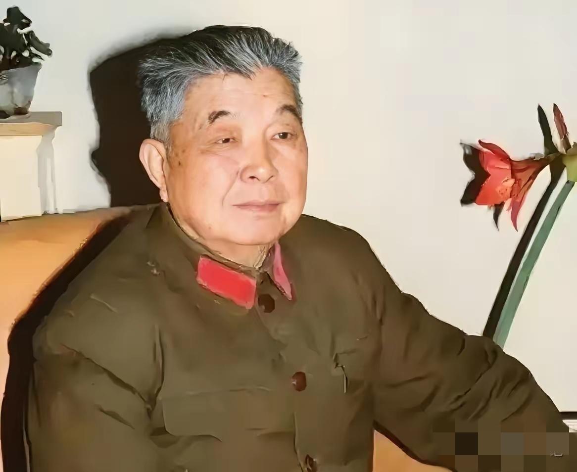 1953年，西康军区司令员刘忠，得知母亲和原配还在世，便携现任妻子回乡，当他看到