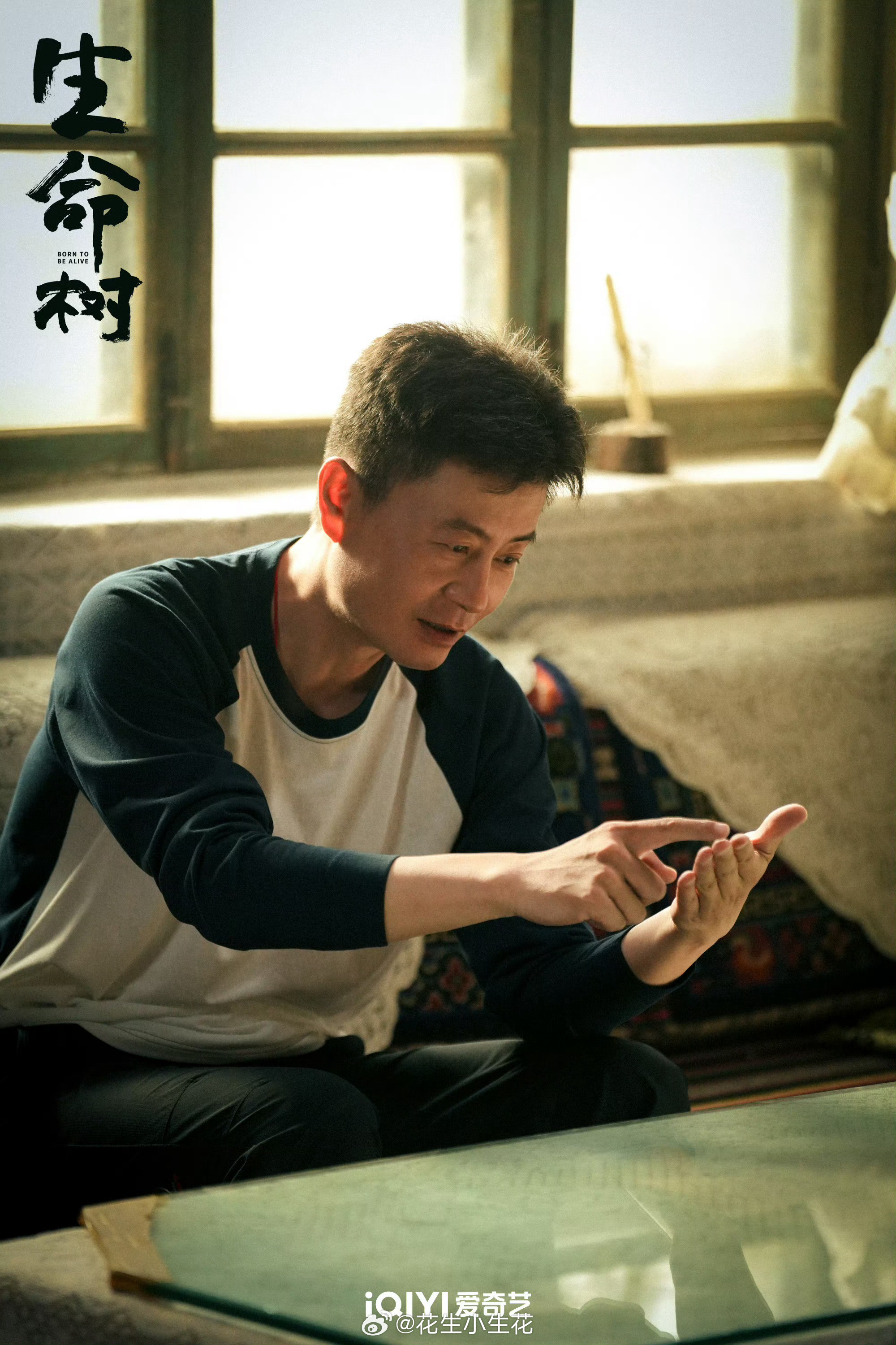 第31届白玉兰奖获奖名单最佳导演：李雪《生命树》白玉兰内场白玉兰