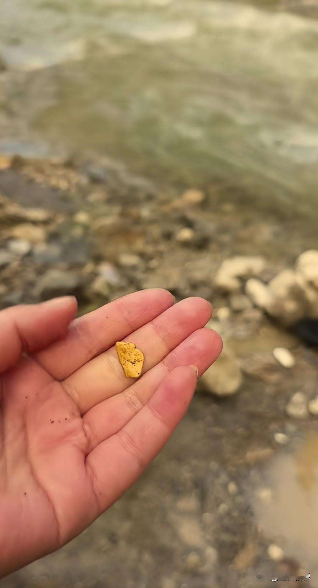 近日甘肃陇南康县燕子河，出现不少市民在凌晨时分冒着低温，拿着简易工具在河道里纷纷