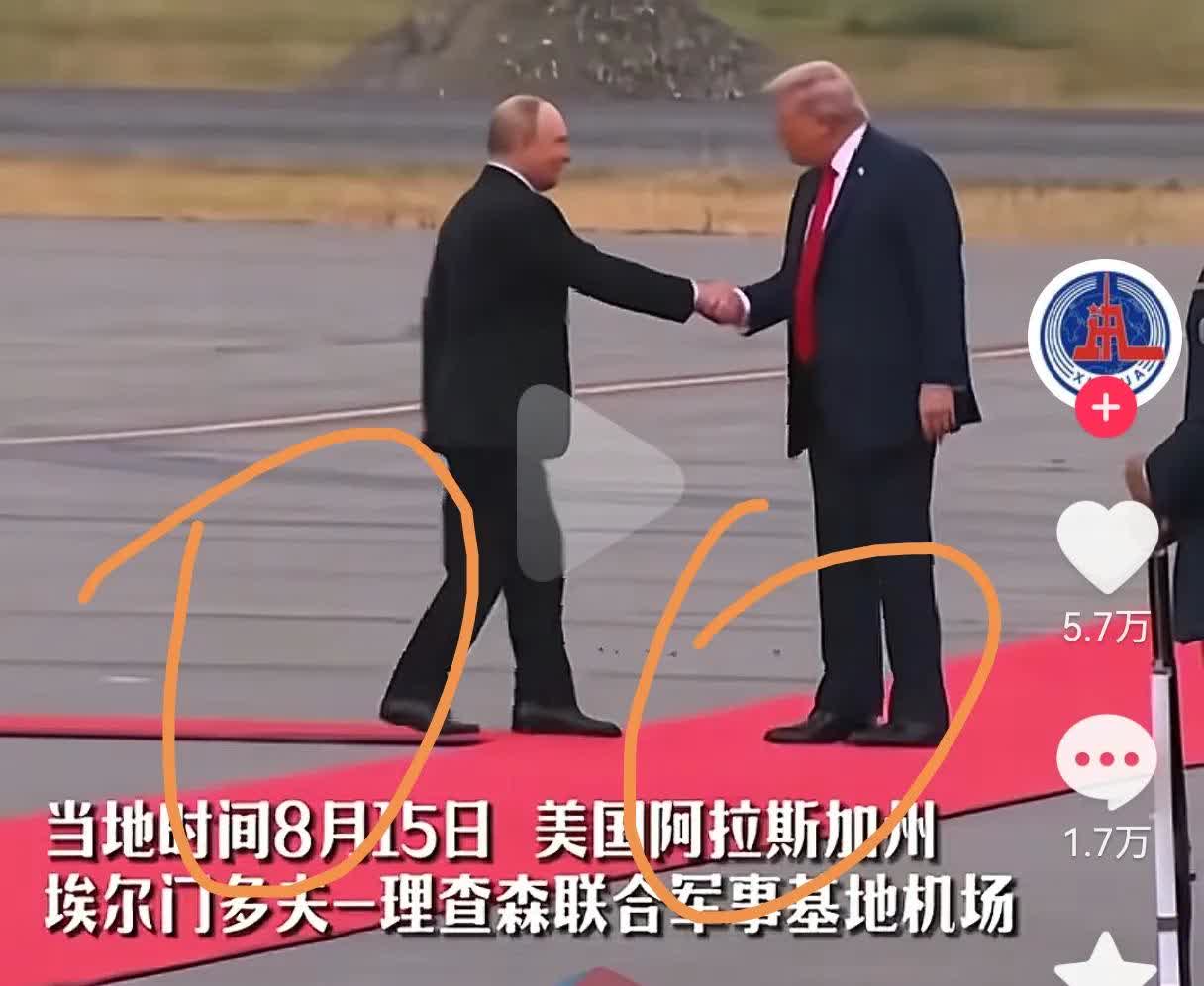 普京走的红毯只有20公分宽，而特朗普走的红毯竟然有1米宽！双普会，为啥美国这