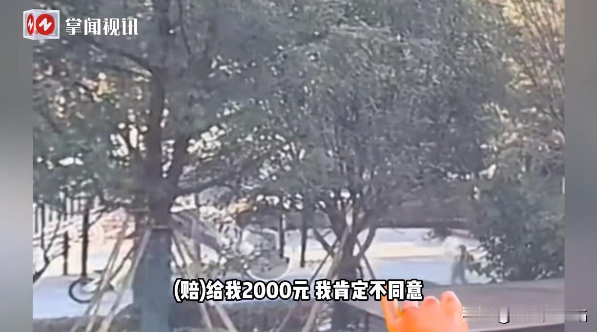 悲剧还是发生了！10月25日，浙江温州，一女子带着自己2岁的泰迪犬出门，谁知却被