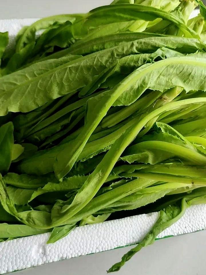 孩子回家住10天，伺候一日三餐还洗洗刷刷，你说这叫陪伴？别自欺欺人了，说白了就