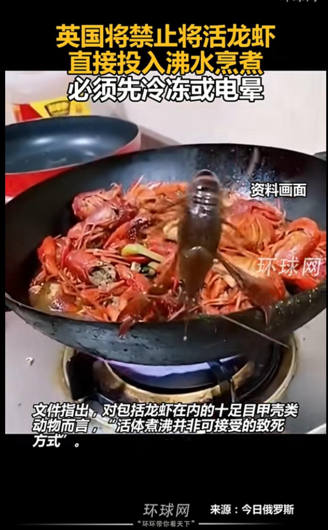 中国吃龙虾新规，必须先电晕然后再煎炒烹炸，不想让龙虾太痛苦了，法国专家比中国专家