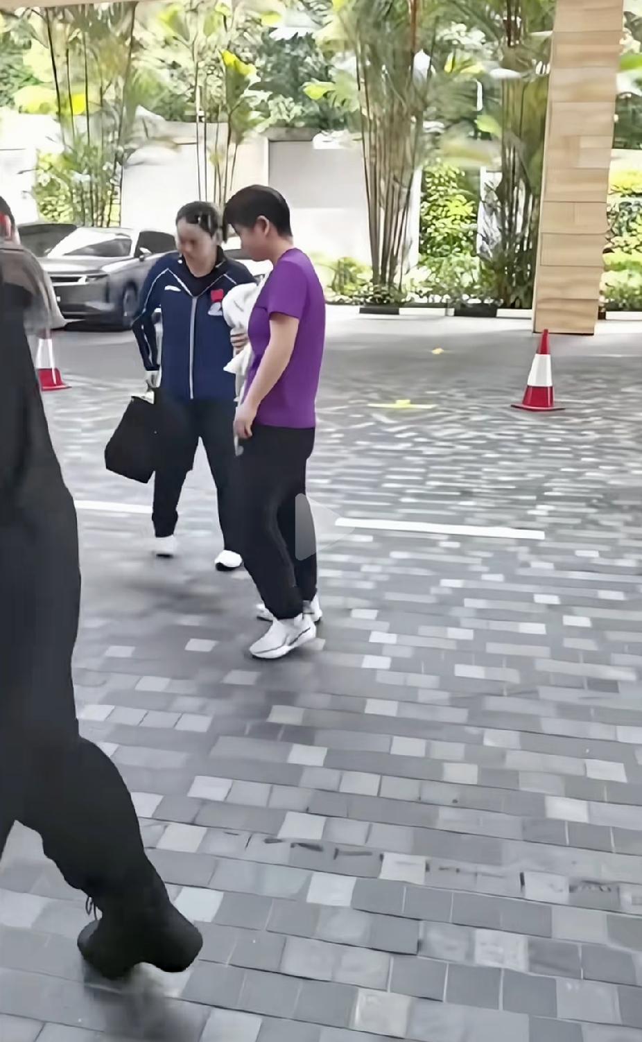 刷到路透，莎莎、何卓佳还有马琳指导一起下车，奔赴WTT中国大满贯。何卓佳就是莎