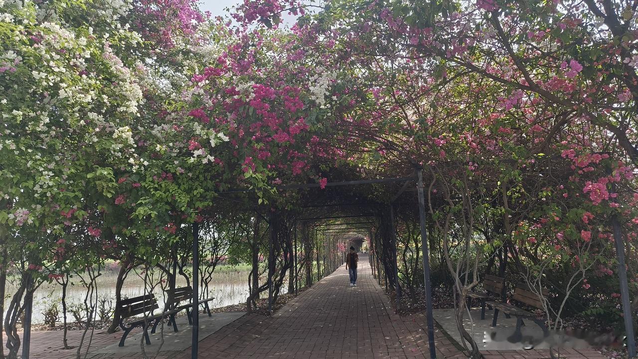 高中的学习压力能把孩子逼疯吗?高中学习压力确实能把孩子逼疯。我有个同学，高中