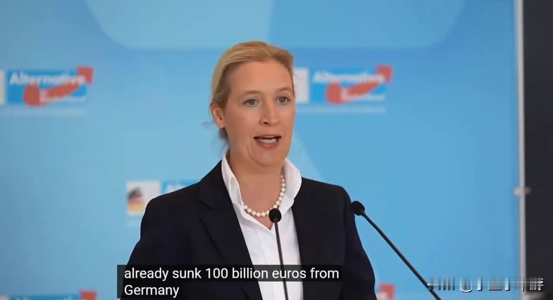 德国极右翼政党选择党（AfD）领袖爱丽丝·魏德尔（AliceWeidel）谈及