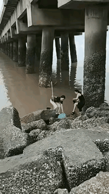 能干的女人，咋捞上来的啊！